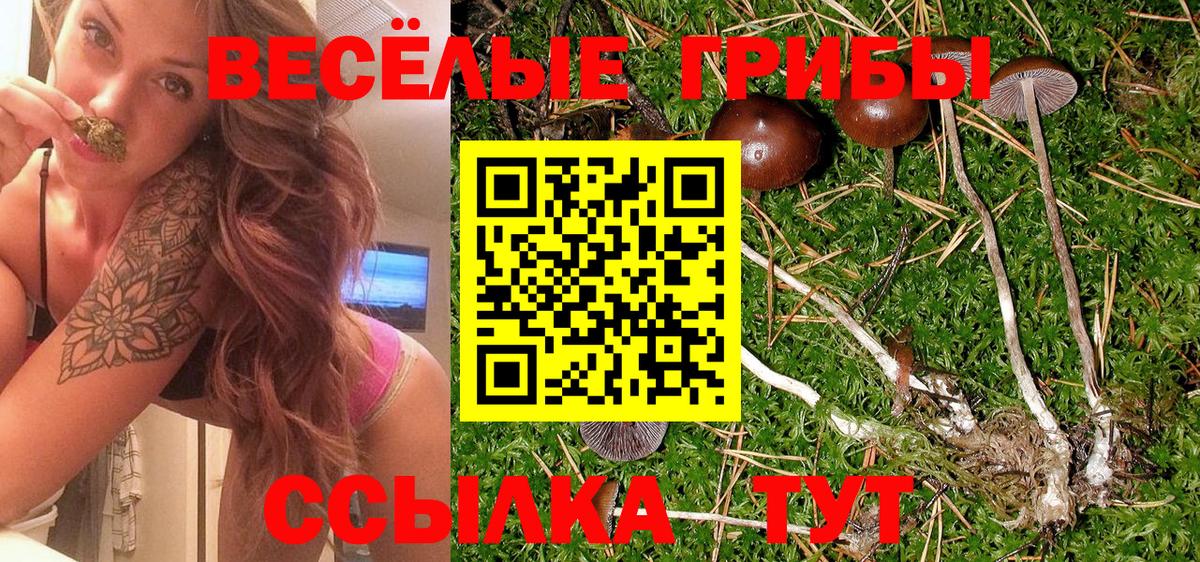 Галлюциногенные грибы Psilocybine cubensis  Вход с VPN  Новый Уренгой 